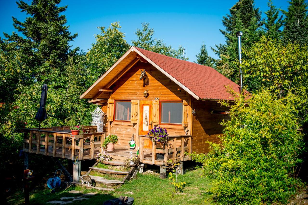 Kedra Village Zewnętrze zdjęcie
