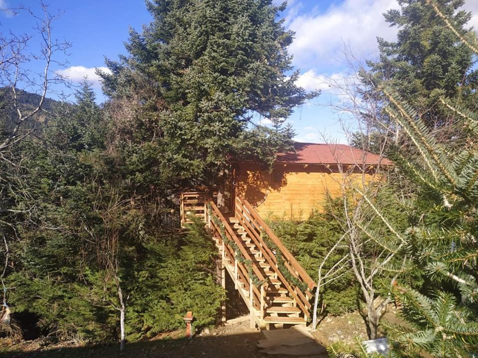 Kedra Village Zewnętrze zdjęcie