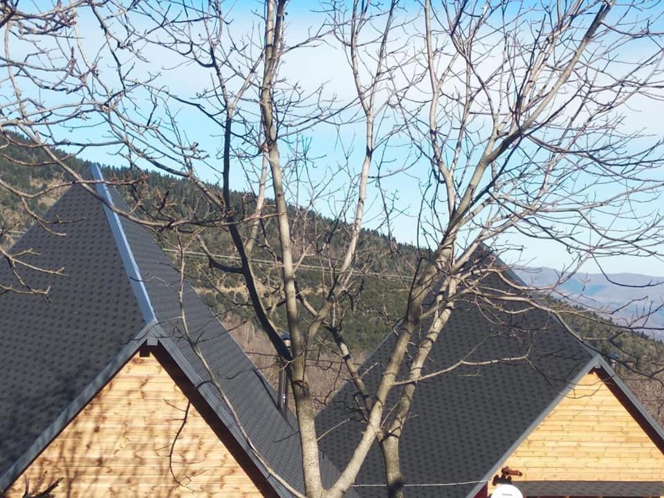 Kedra Village Zewnętrze zdjęcie